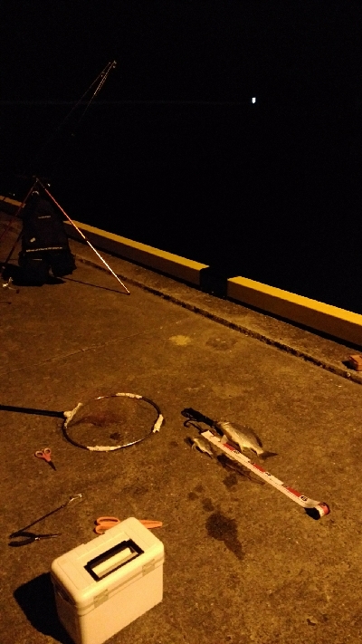 ぶっこみでチヌ、さめ、あなご等