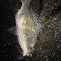 連休は釣りをするには向かない。