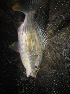 連休は釣りをするには向かない。