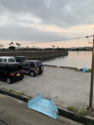 いろはアジング