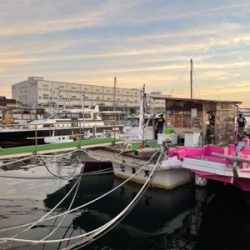 太刀魚シーズン開幕