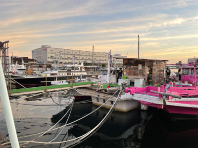 太刀魚シーズン開幕