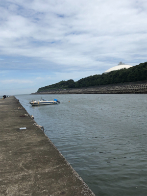 チョイ投げキス釣り