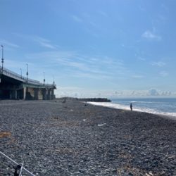 弓角釣果出ました