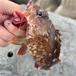 ライトゲームフィッシュ