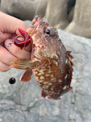 ライトゲームフィッシュ