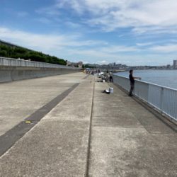 久しぶりのあの感触