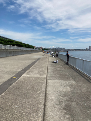 久しぶりのあの感触