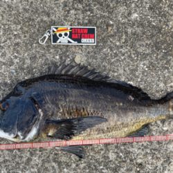 落とし込み　スライダー