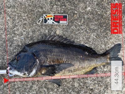 落とし込み　スライダー