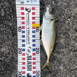 久しぶりの釣り