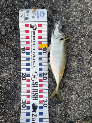 久しぶりの釣り