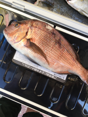 炎天下の海上釣り堀