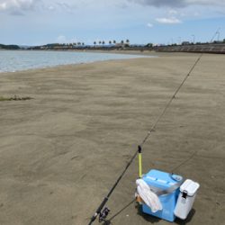 久しぶりのキス釣り