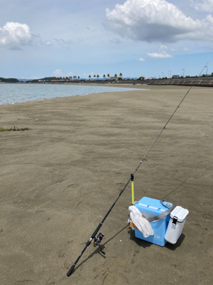 久しぶりのキス釣り