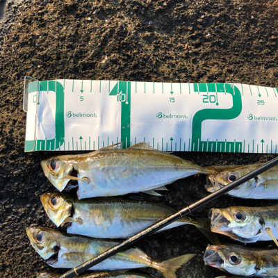 2021 佐渡ヶ島ライトゲーム