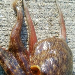 『釣りデビュー(^.^)』207