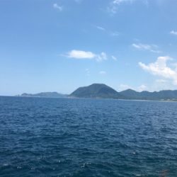 ショアジギング