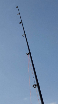 ⭐︎タックル購入検討中