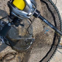 シルベラードとジリオン入魂