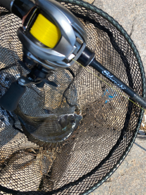 シルベラードとジリオン入魂