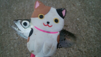 『釣りデビュー(^^)』212