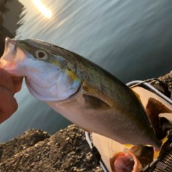 すんごい引きでした