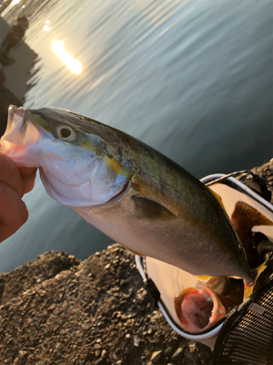 すんごい引きでした