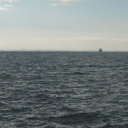 天気予報に騙されたけど、、、