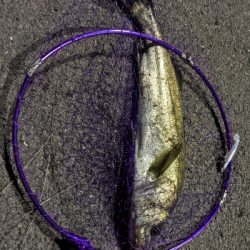 14ヶ月目にしてようやく