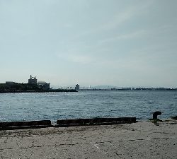 3尾・50cmの壁越えなるか