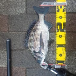 今年初 年無し ~さざなみ公園~