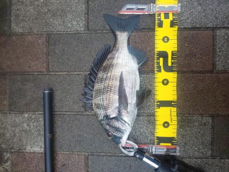 今年初 年無し ~さざなみ公園~