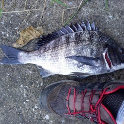 ガイドをかえたので試し釣り