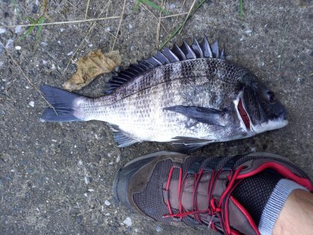 ガイドをかえたので試し釣り