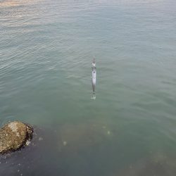 久々の釣行！フラッシュブースト！！