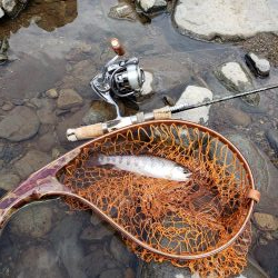 荒れ過ぎた様です( ノД`)…