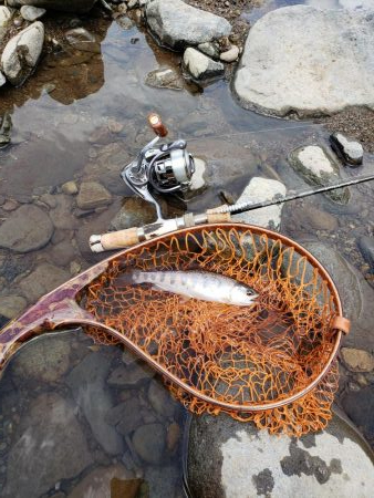 荒れ過ぎた様です( ノД`)…