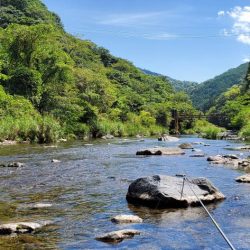 紀ノ川支流にて