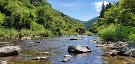 紀ノ川支流にて
