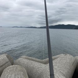 ちょい投げキス釣り