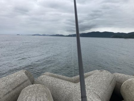 ちょい投げキス釣り