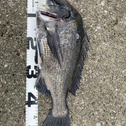 イチノ兄弟、釣果!