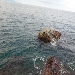 久しぶりに満足した釣果