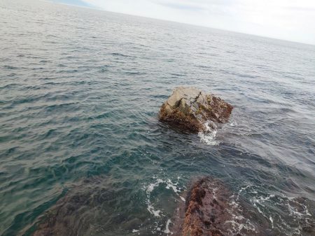 久しぶりに満足した釣果