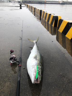 雨にも負けず…