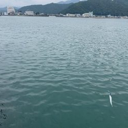 初めての根魚ねらい