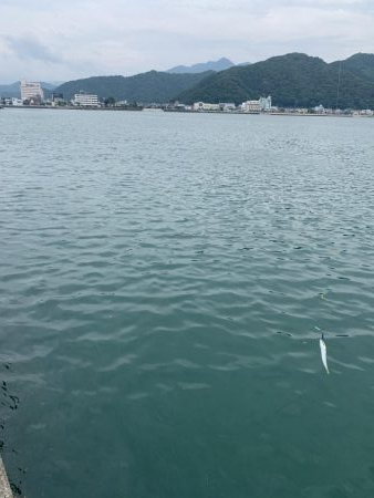 初めての根魚ねらい
