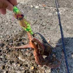 ⭐︎試行錯誤しながら