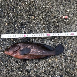 まさかの大物ゲスト